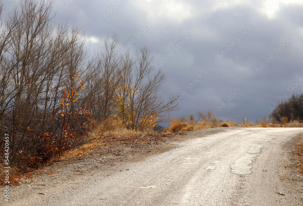 dramatic sky, rural road and bare trees dramatic sky, rural road and bare trees