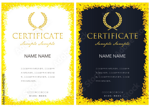 賞状３９　certificate　認定証　ディプロマ　表彰状　フレームデザイン