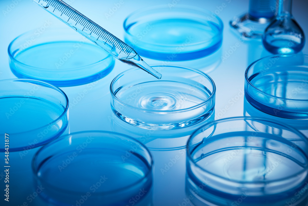 laboratory experiment laboratory experiment