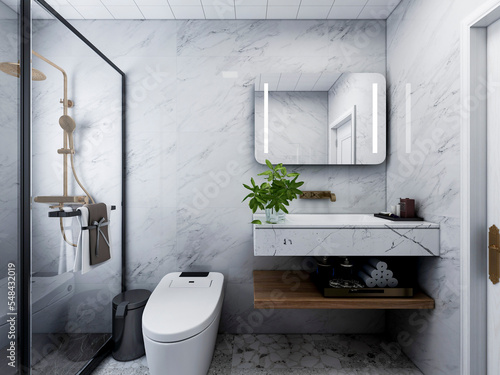 3D rendering  clean and tidy bathroom design