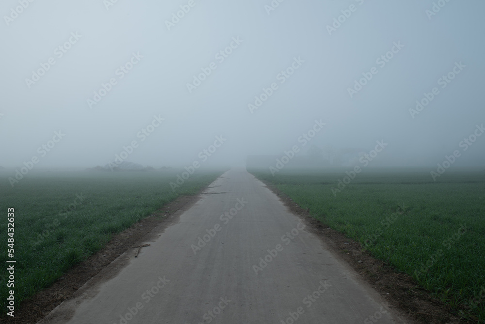 An empty road through field of wheat shrouded in fog.