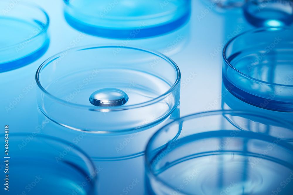 laboratory experiment laboratory experiment