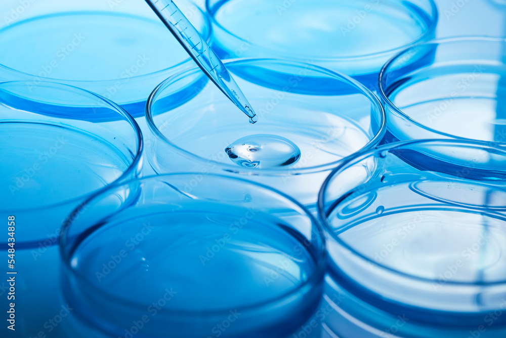 bluish laboratory experiment bluish laboratory experiment