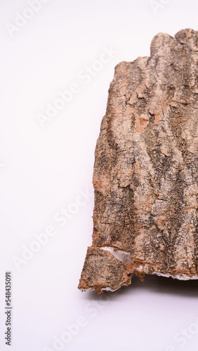 angle pan big piece of herb DuZhong or Eucommiae Cortex or Eucommia Bark at vertical composition photo