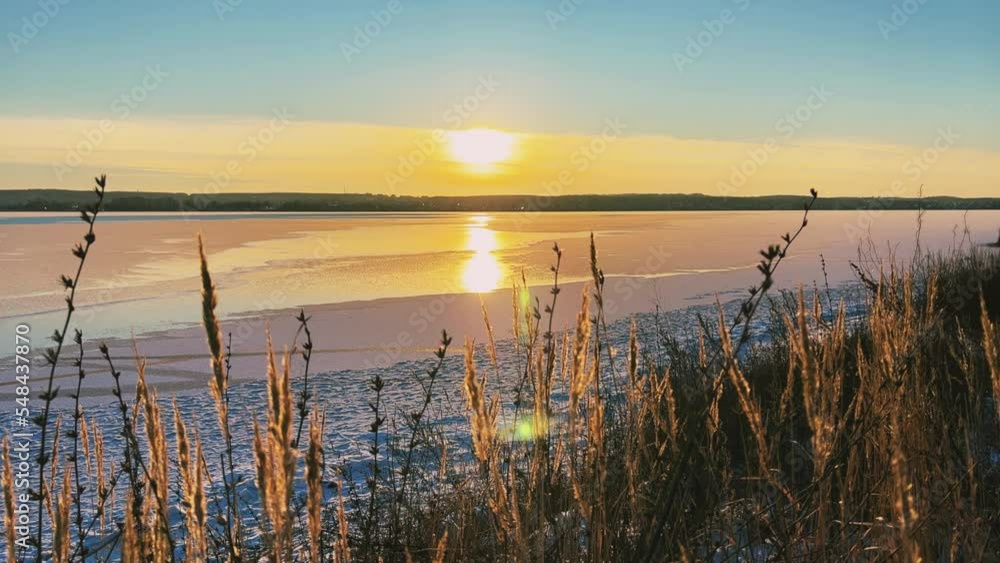 Grass and tree branches on the background of an orange sunset over a pond. A huge sun over the pond. The cold clear water is covered with the first snow and thin ice. Russia Grass and tree branches on the background of an orange sunset over a pond. A huge sun over the pond. The cold clear water is covered with the first snow and thin ice. Russia