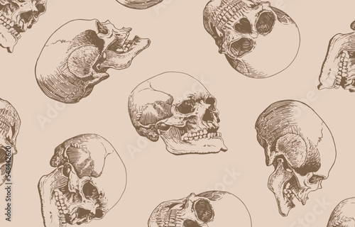 Graphical vintage pattern with human skulls on sepia background, wallpaper , fossils cover