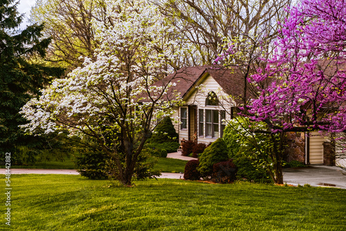 Traditional Midwestern suburban house in spring; landscaped yard with redwood and dogwood trees in foreground 