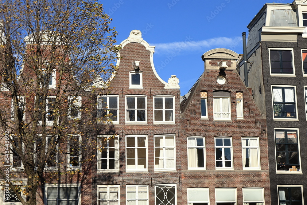 Amsterdam Prinsengracht Canal House Facades with Various Gables , Bright Blue Sky and Autumn Tree, Netherlands