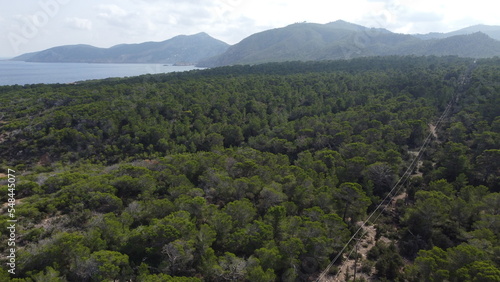 Drone panorama shot of a typical landscape in Ibiza photo