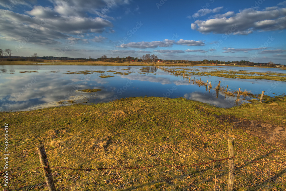 Obraz premium Landscape sunset or sundown river Narew Poland Europe spring time meadows under water