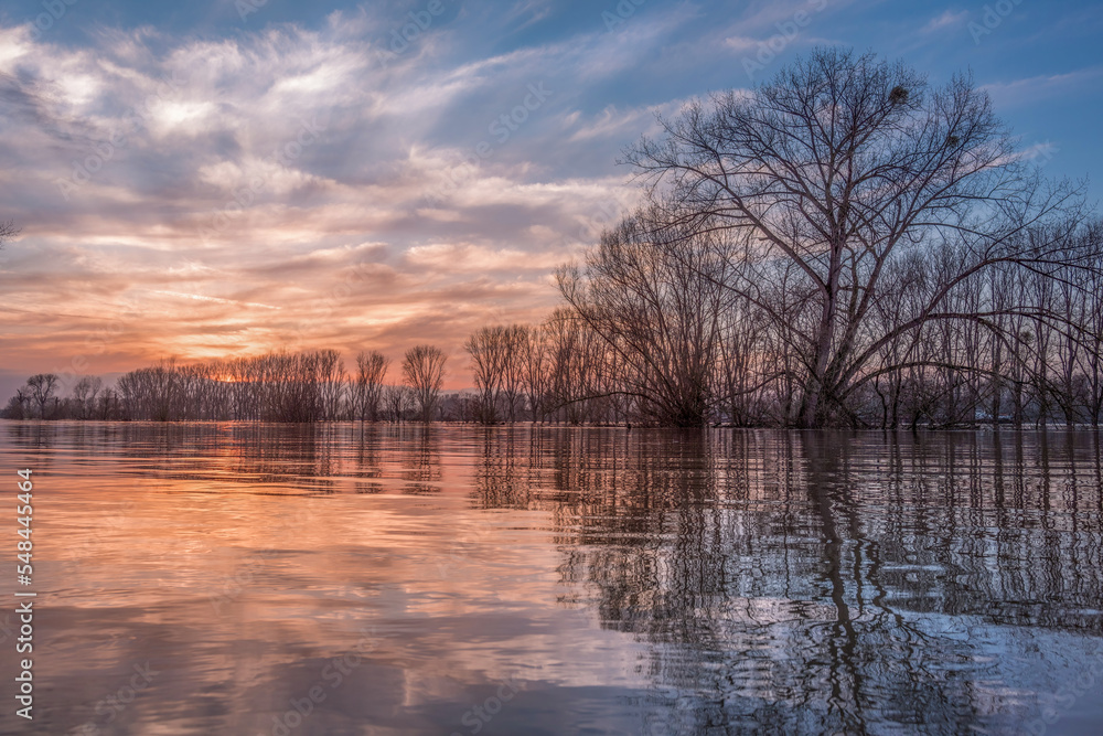 custom made wallpaper toronto digitalSunset on the shore of a natural natural landscape lake in northern Europe. Reflections, blue sky and yellow sun. Landscape during sunset.