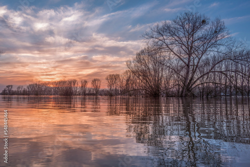 Wallpaper Mural Sunset on the shore of a natural natural landscape lake in northern Europe. Reflections, blue sky and yellow sun. Landscape during sunset. Torontodigital.ca
