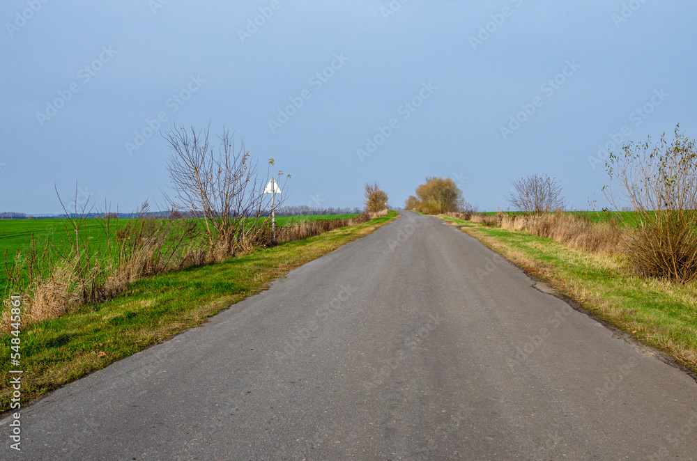 Asphalt road through the fields in autumn. Vacations, adventure, road trip, remote places. View from car.