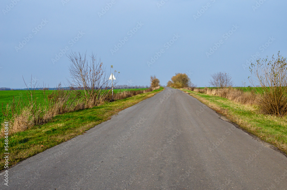 Fototapeta premium Asphalt road through the fields in autumn. Vacations, adventure, road trip, remote places. View from car.