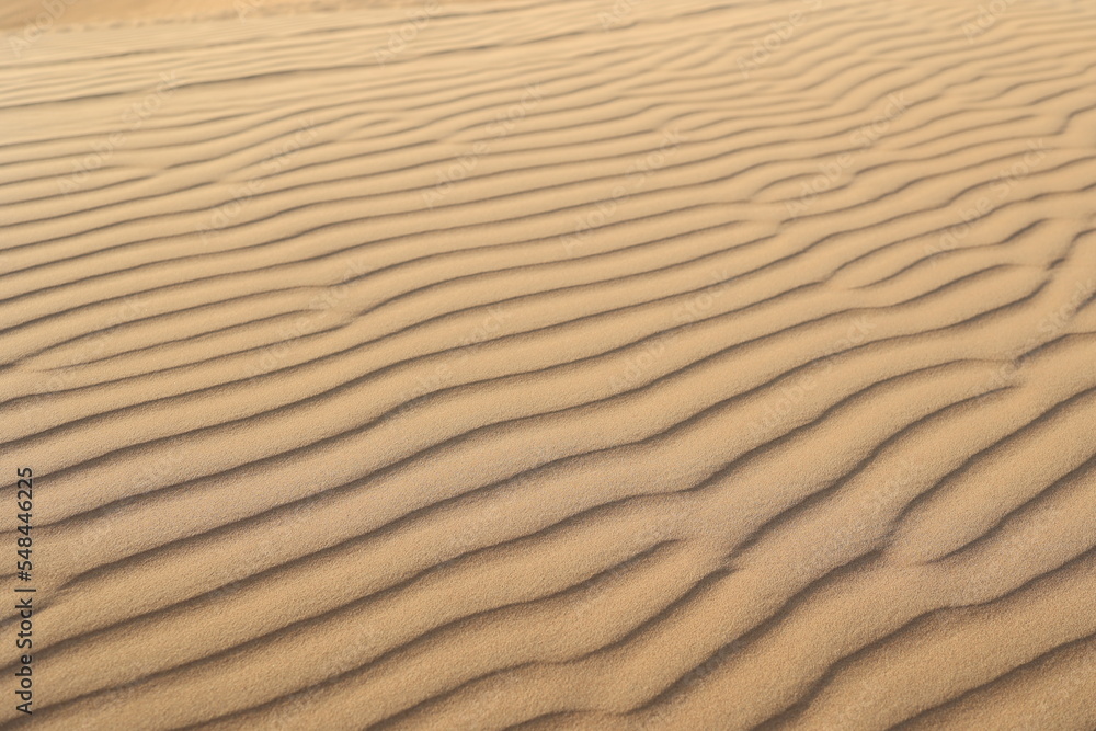 Sand ripples in the Dubai Desert Sand ripples in the Dubai Desert