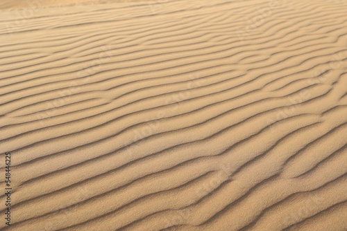Sand ripples in the Dubai Desert