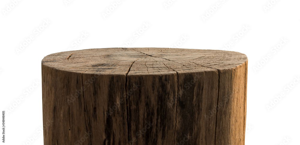 Tree trunk wood Podium  - obrazy, fototapety, plakaty 