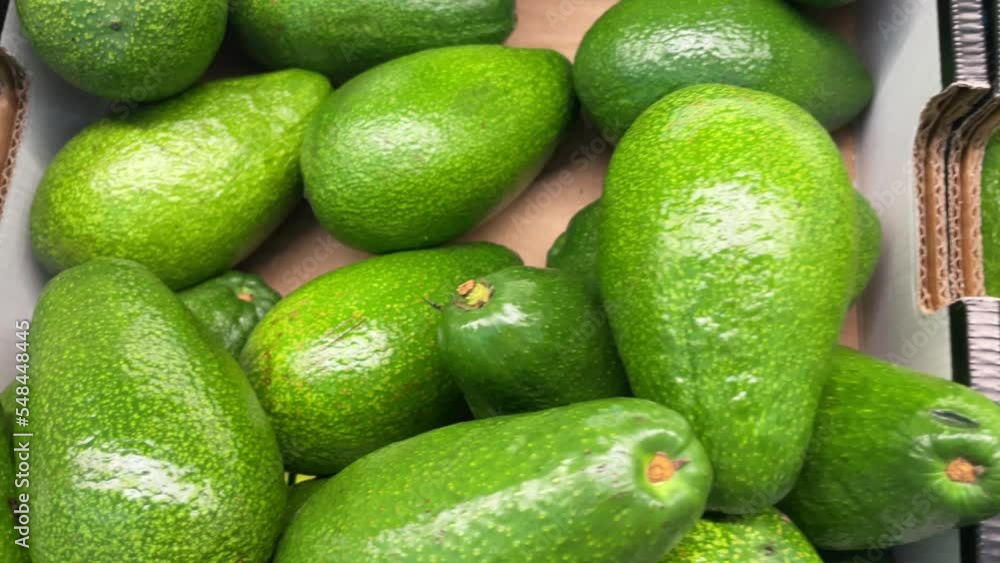 A box of avocados in an ecological farm, close up dolly in A box of avocados in an ecological farm, close up dolly in