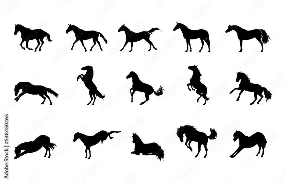 Set of wild horse silhouette with super detail design isolated on white background Set of wild horse silhouette with super detail design isolated on white background