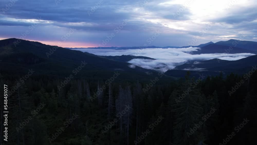 Silhouette of a Christmas tree and morning sky at sunrise against the background of the Carpathian mountains in the summer. Ukraine, Europe Silhouette of a Christmas tree and morning sky at sunrise against the background of the Carpathian mountains in the summer. Ukraine, Europe
