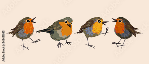 Vector composition with four little colorful birds isolated on light background.