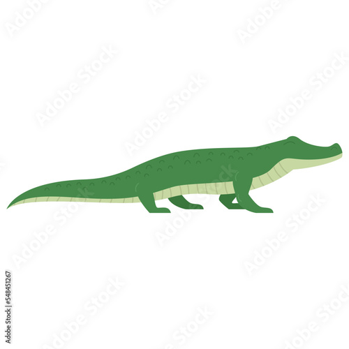 Wildlife Animal Crocodile Illustration © mugu