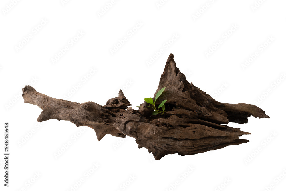 Fototapeta premium Old wood product display podium minimal style for presentation design, isolated on background