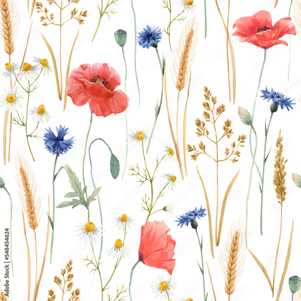 Beautiful vector floral seamless pattern with watercolor hand drawn field wild cornflower poppy flowers. Stock illustration.