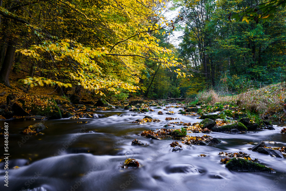 Herbstzauber an einer Flusslandschaft in der Lausitz- Das Löbauer Wasser 10