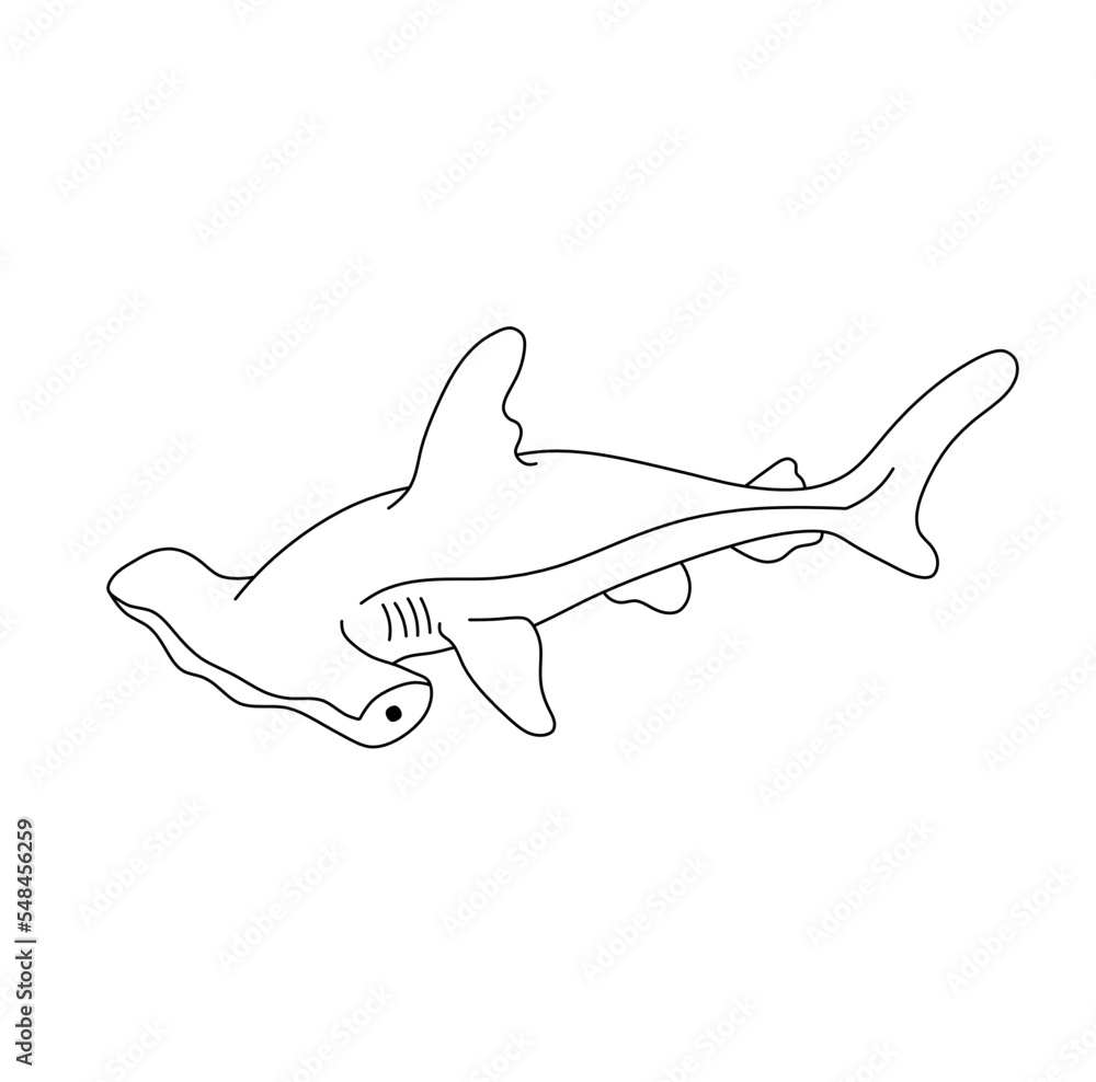 love me some shadow sharks 🦈🫶🏼 @admin @eyeseeyouintea // #florida #... |  TikTok