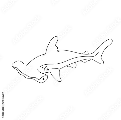 Vector isolated hammer fish winghead shark swimming floating underwater colorless black and white contour line easy drawing