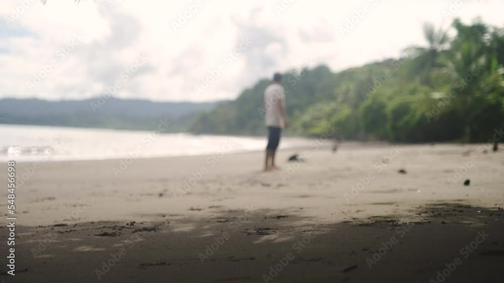 tourist walking alone on Costa Rica sandy tropical beach with palm tree jungle in background tourist walking alone on Costa Rica sandy tropical beach with palm tree jungle in background