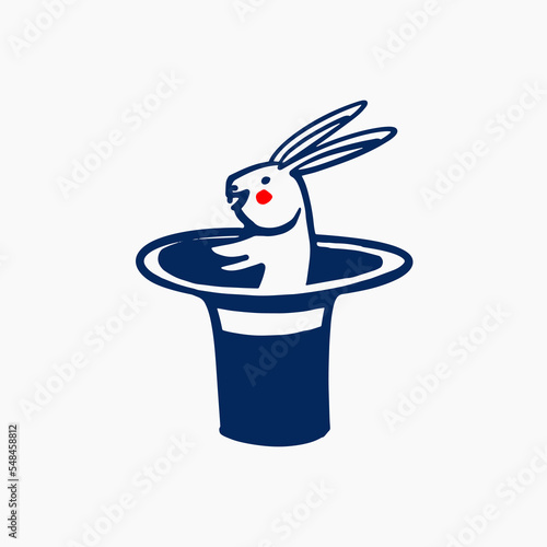 rabbit in a hat