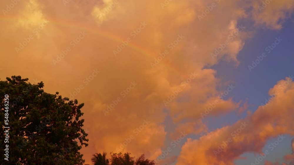 colorful rainbow cover the tree..rainbow during sunset at Kwang beach Krabi Thailand..Sky texture, abstract nature background..Sunset with sweet yellow color light rays and other atmospheric effects. colorful rainbow cover the tree..rainbow during sunset at Kwang beach Krabi Thailand..Sky texture, abstract nature background..Sunset with sweet yellow color light rays and other atmospheric effects.