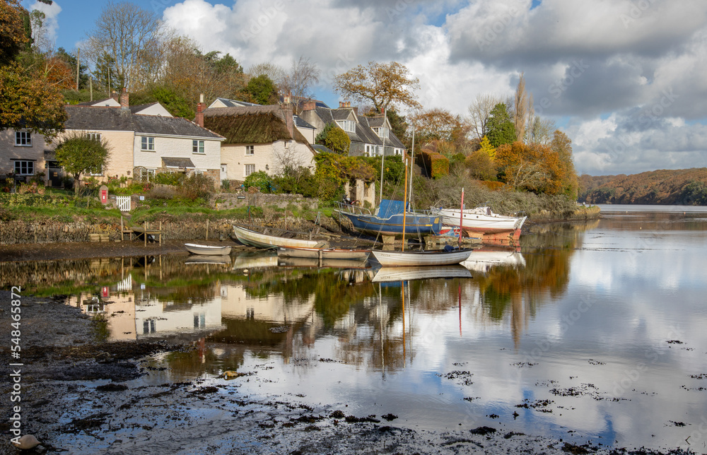 Captures from along the Tresillian river, Cornwall