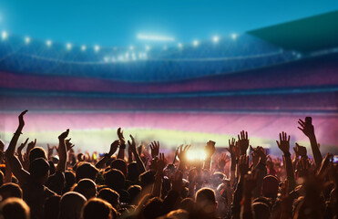 football or soccer fans at a game in a stadium