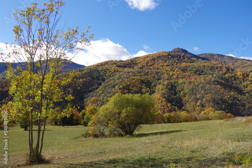forêt de montagne des Pyrénées et Tour del Mir dans le Vallespir