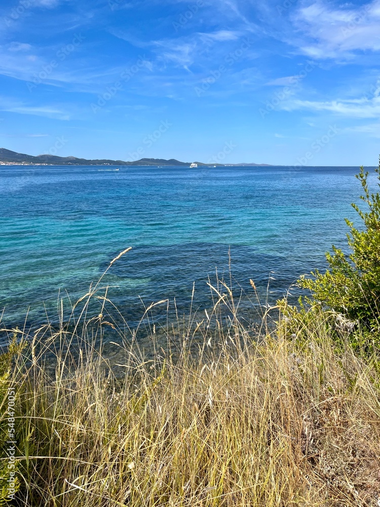 Azure sea, sea coastline with evergreen trees, blue seascape background