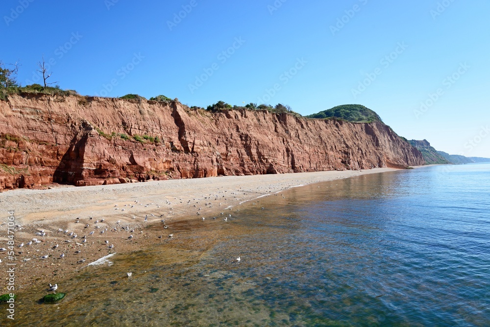 View of the beach and cliffs at Pennington Point, Sidmouth, Devon, UK, Europe