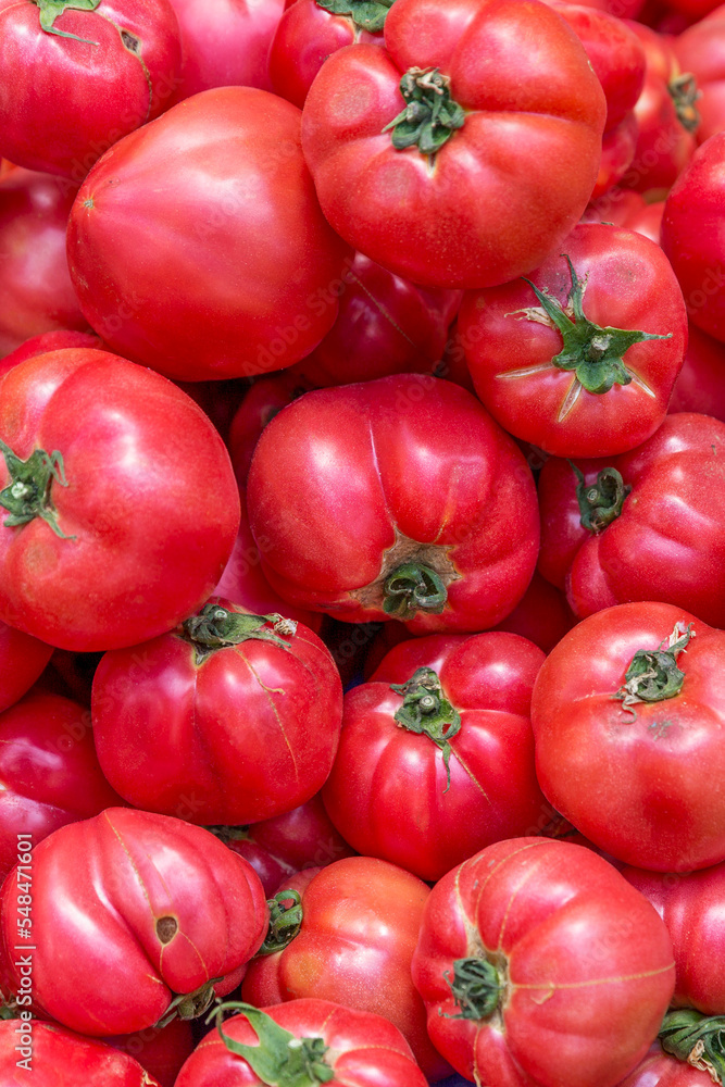 Lots of fresh juicy pink tomatoes. Vegetarianism and healthy food. Close-up. Vertical. Background. Lots of fresh juicy pink tomatoes. Vegetarianism and healthy food. Close-up. Vertical. Background.