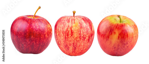 Fresh red apple isolated on transparent png