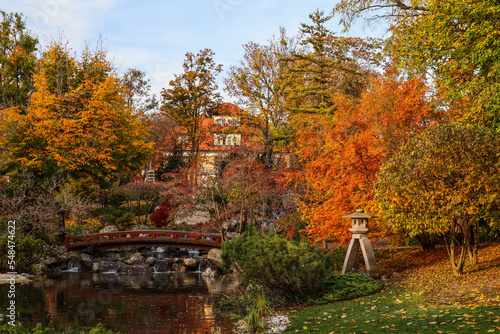 View of autumn park with tr...