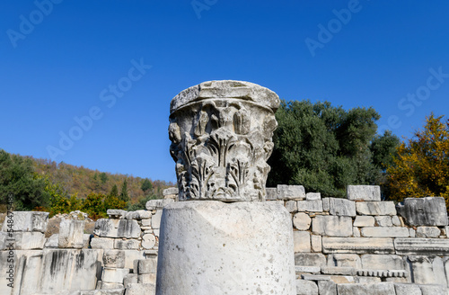 Stratonikeia Ancient City in Eskihisar, Mugla, Turkey.  photo