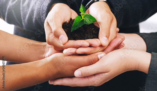 Photos Hands, plants and growth for nature sustainability, agriculture and interracial earth day support