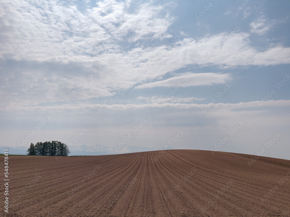 Fototapeta premium Forest and hilly fields in spring