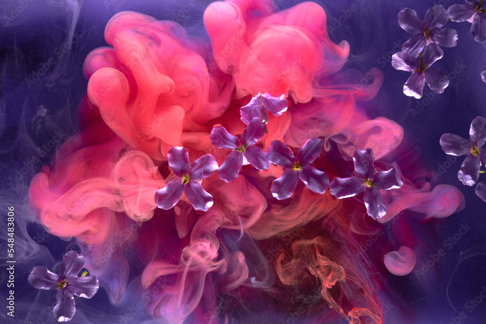 Abstract purple pink background with flowers and paints in water. Backdrop for perfume, cosmetic products