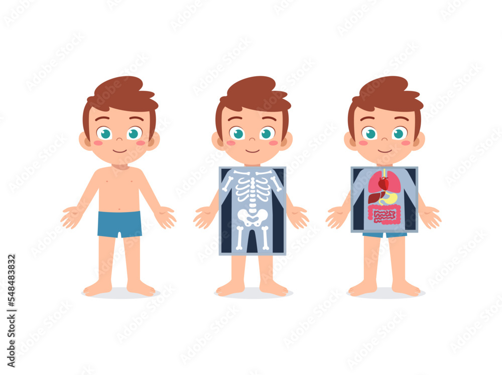 kid body structure for education in school