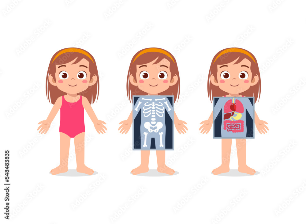 kid body structure for education in school kid body structure for education in school