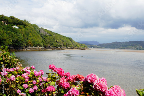 Port Meirion Estuary photo