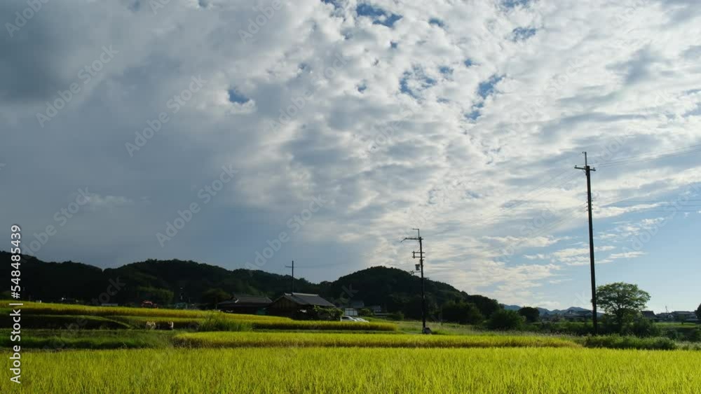 A farming village on a sunny autumn day, with many richly harvested rice plants A farming village on a sunny autumn day, with many richly harvested rice plants